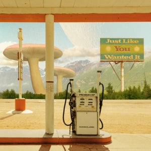 Casey Smith Project - Just Like You Wanted It (Vinyl)
