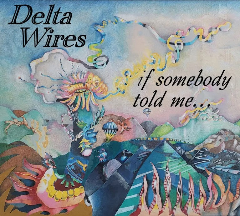Delta Wires - If Somebody Told Me (CD)