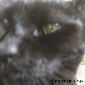 Masmine Meadows - Jasmine (CD)