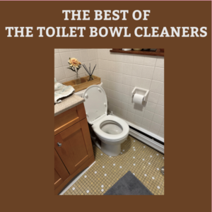 The Toilet Bowl Cleaners - The Best of The Toilet Bowl Cleaners (Vinyl)