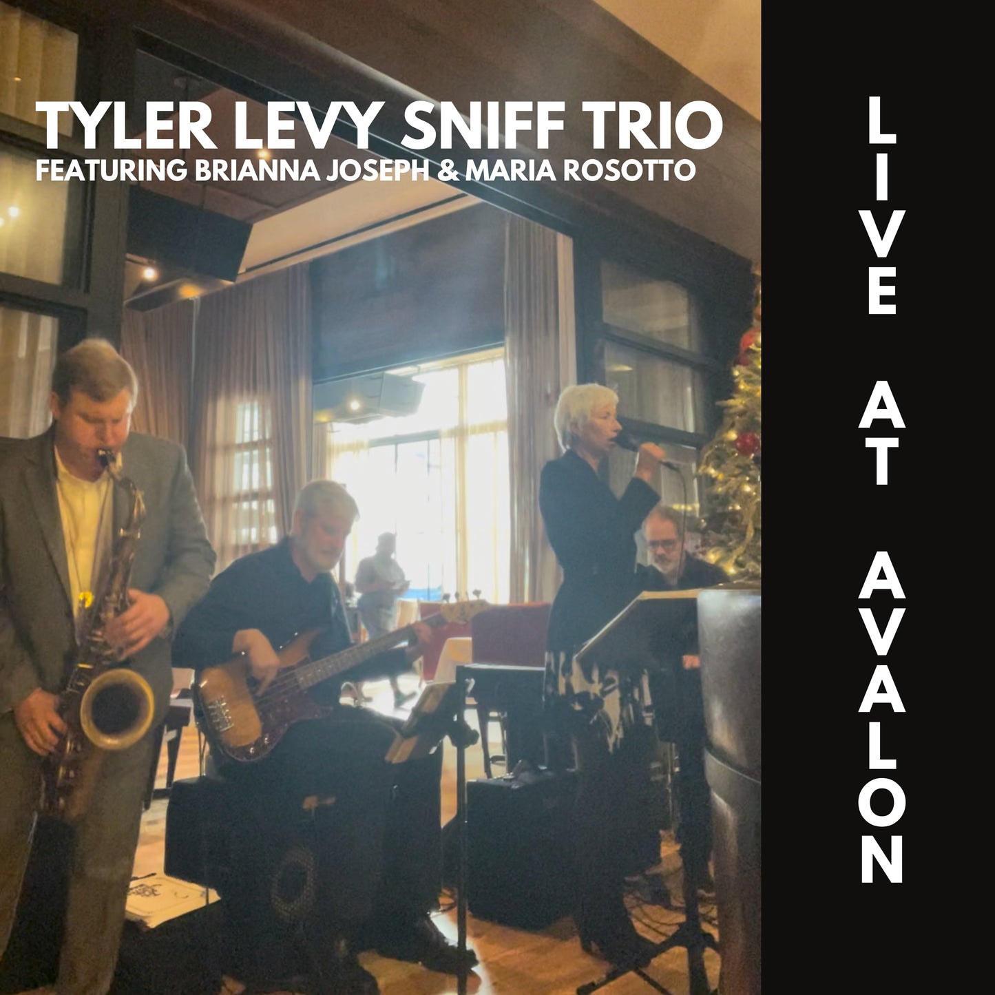 Tyler Levy - Tyler Levy Sniff Trio: Live at Avalon (Vinyl)