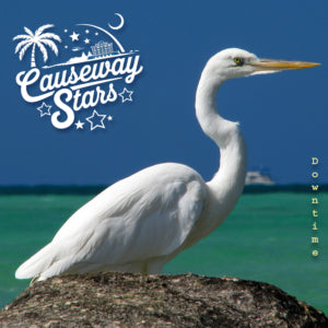 Causeway Stars - Downtime (CD)