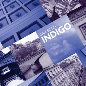 DAN SIEGEL - Indigo (CD)