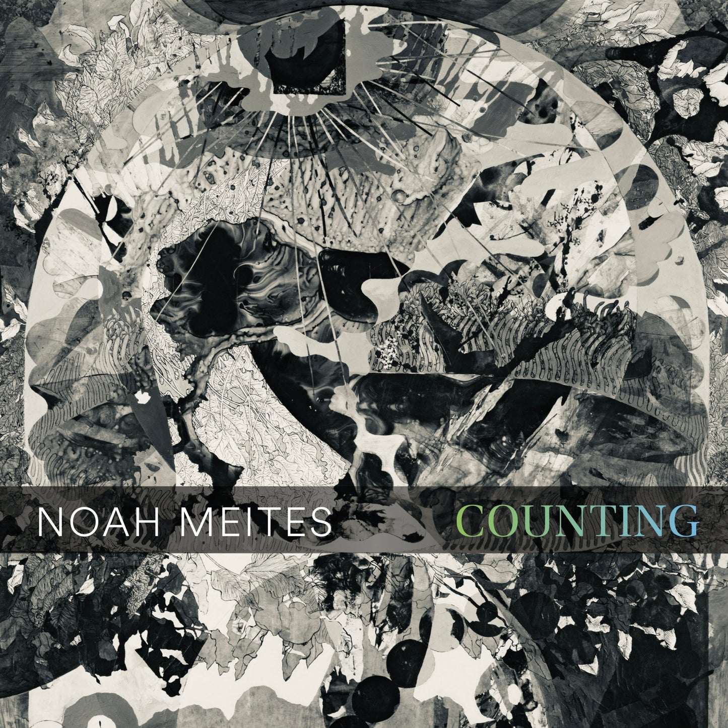 Noah Meites - Counting (CD)