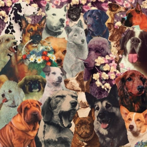 sleepingdogs - DOGSTOEVSKY (Cassette)