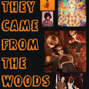 Dr Namrok - They Came from the Woods (CD)