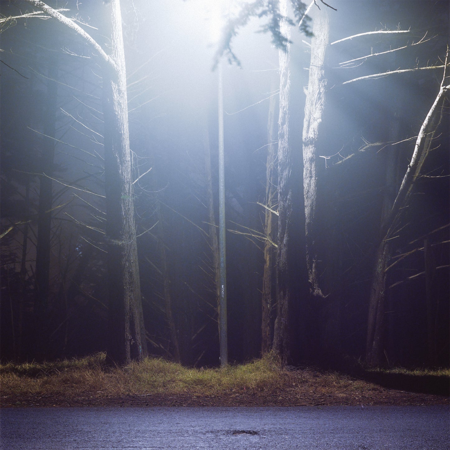 David Bird - Hinterlands (CD)