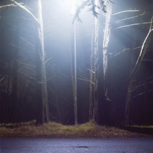 David Bird - Hinterlands (CD)