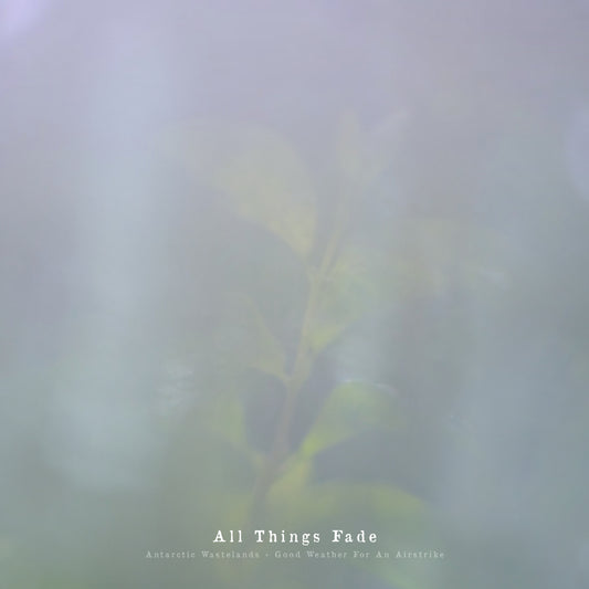 Antarctic Wastelands & Good Weather For An Airstrike - All Things Fade (Cassette)