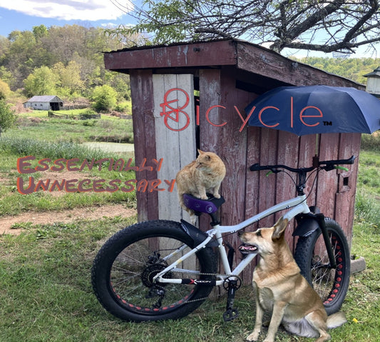 Bicycle - Essentially Unnecessary (CD)