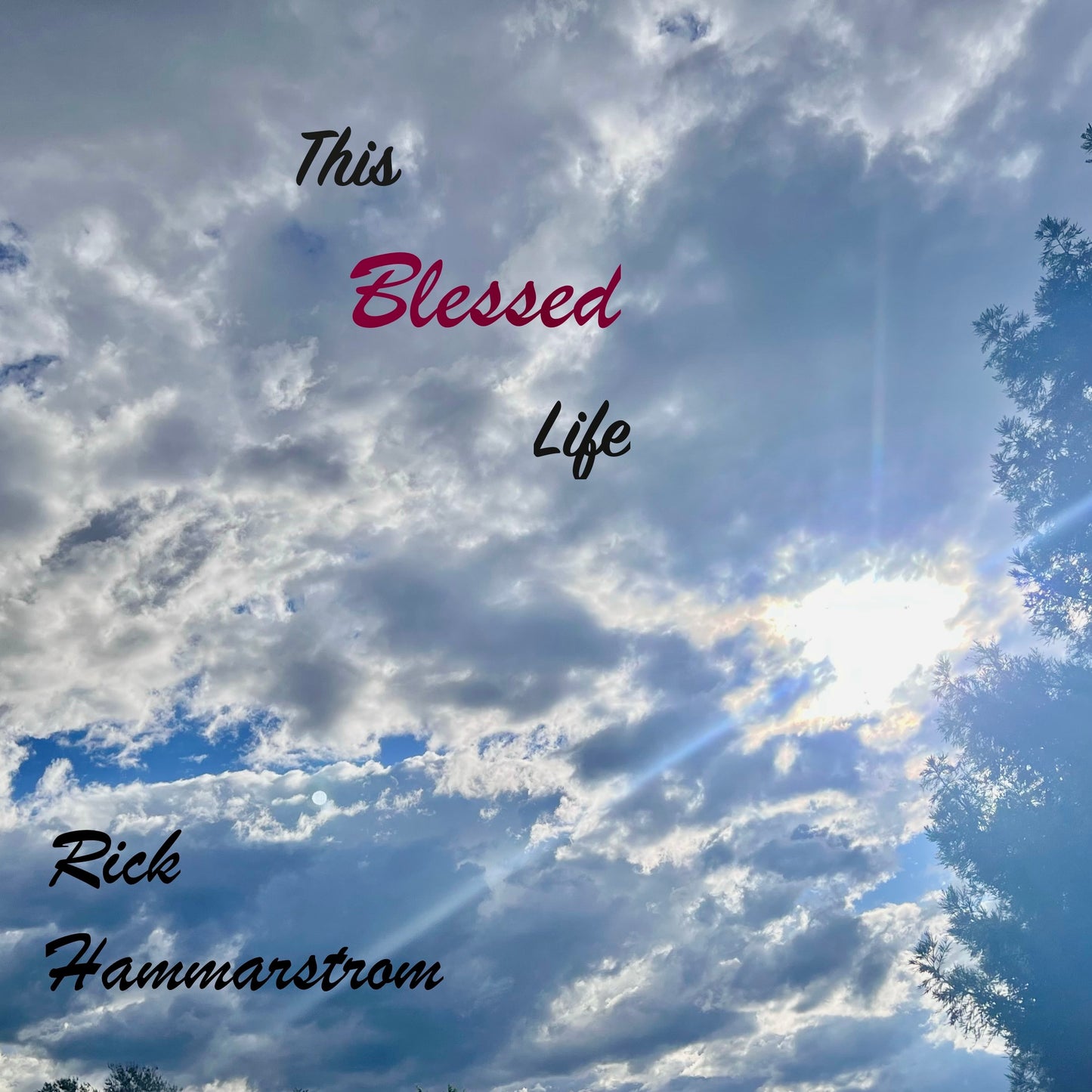 Rick Hammarstrom - This Blessed Life (CD)