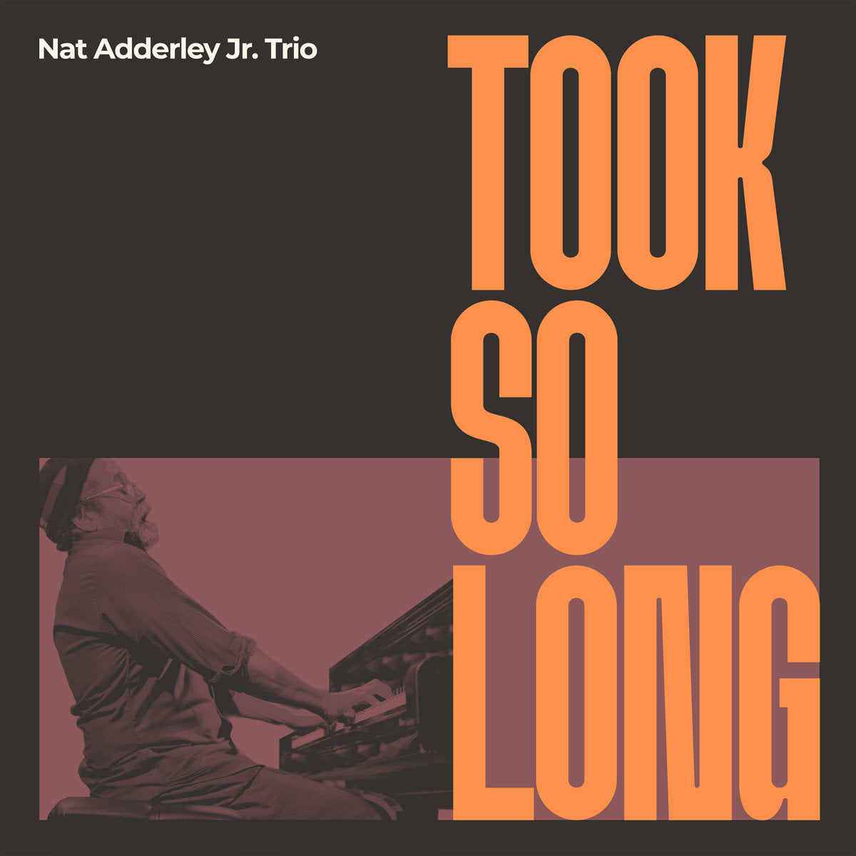 Nat Adderley Jr. Trio - Took So Long (CD)