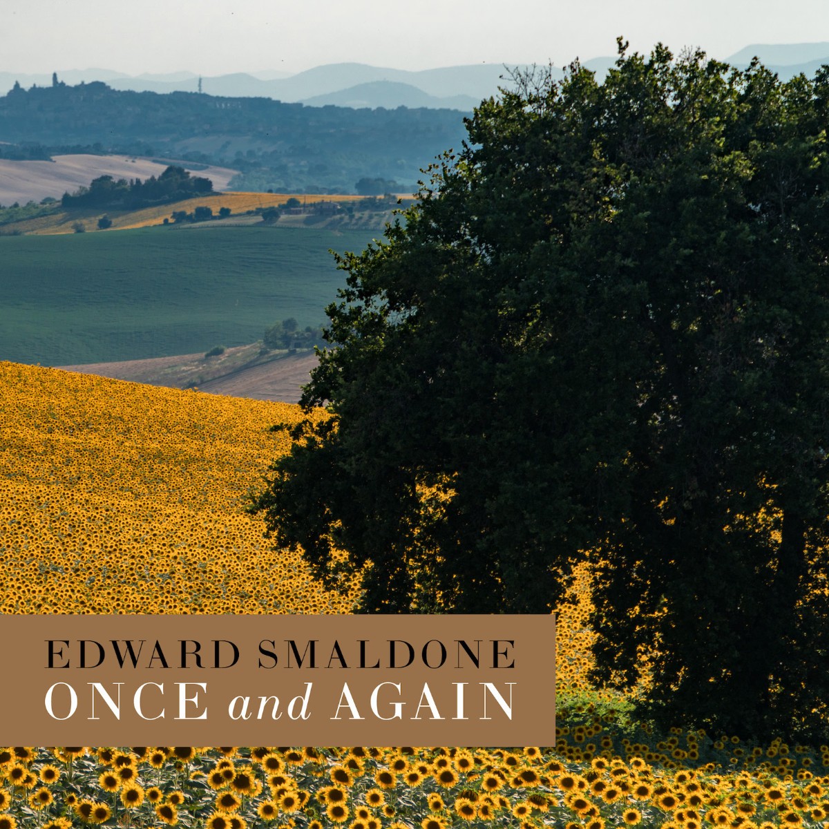 Edward Smaldone - Once and Again (CD)
