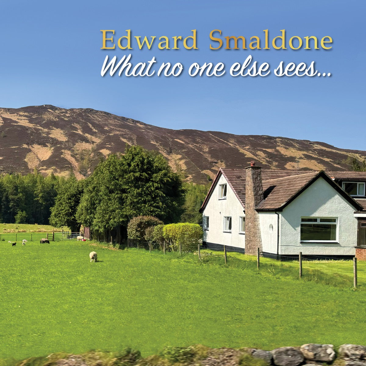 Edward Smaldone - What no one else sees... (CD)