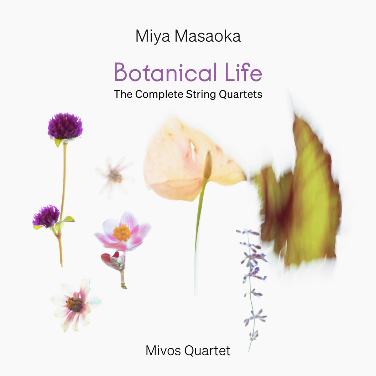 Miya Masaoka - Botanical Life: The Complete String Quartets (CD)