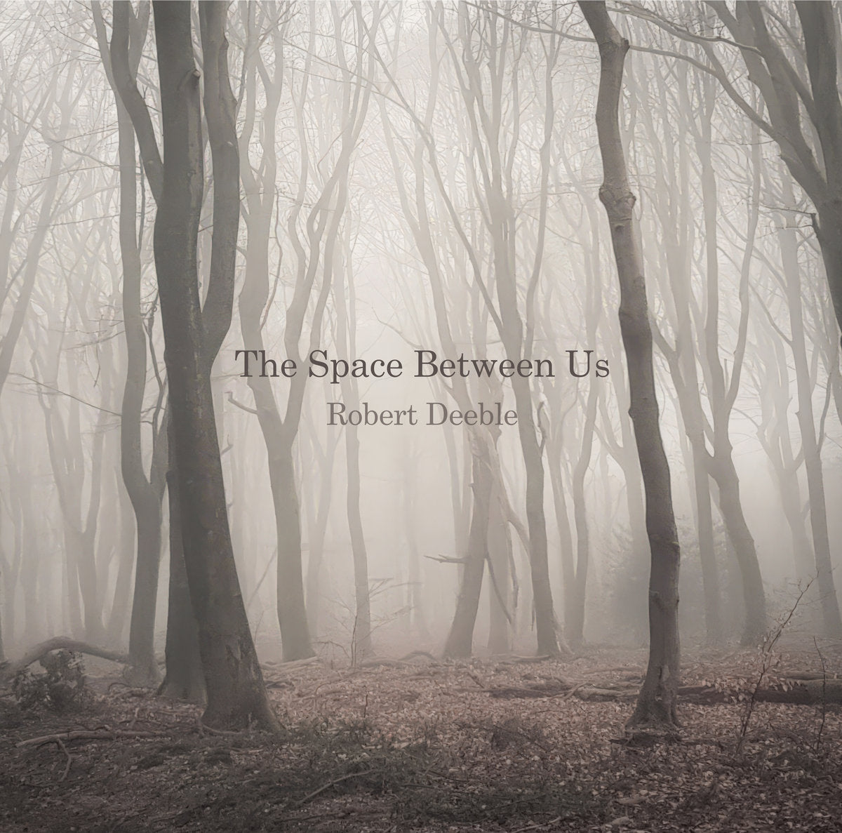 Robert Deeble - The Space Between Us (Vinyl)